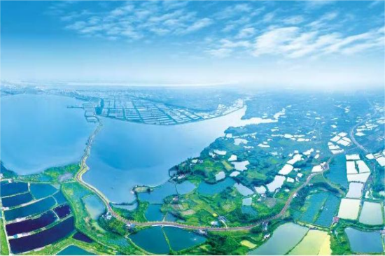 中建承建枝江金湖国家湿地公园竣工验收3.png 中建承建枝江金湖国家湿地公园竣工验收3.png