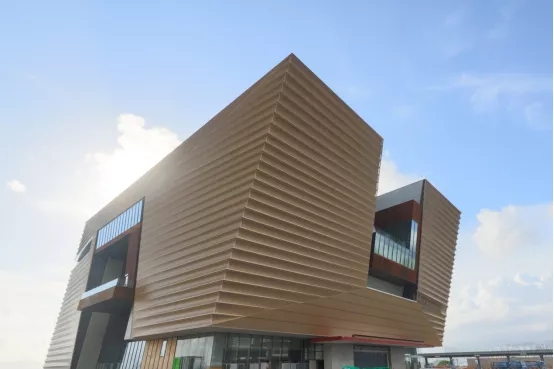 香港4.webp.jpg