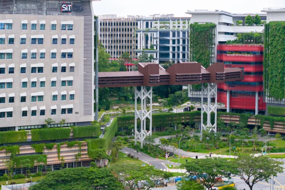 新加坡理工大学新校区顺利竣工(1).jpg